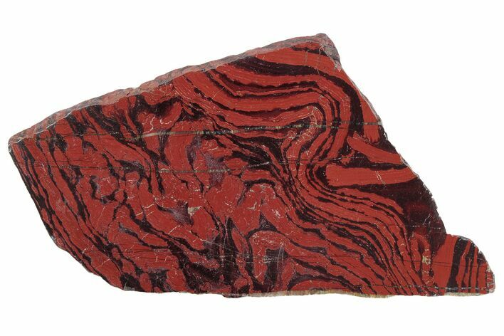 Polished Snakeskin Jasper Slab - Western Australia #221527